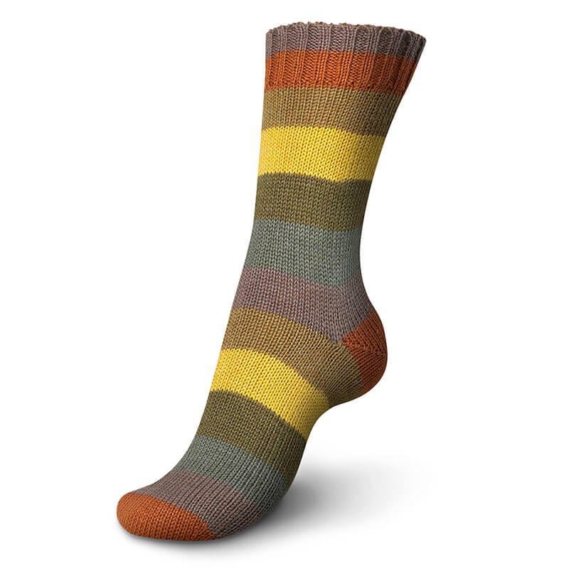 Rainbow Color - 34 Autumm