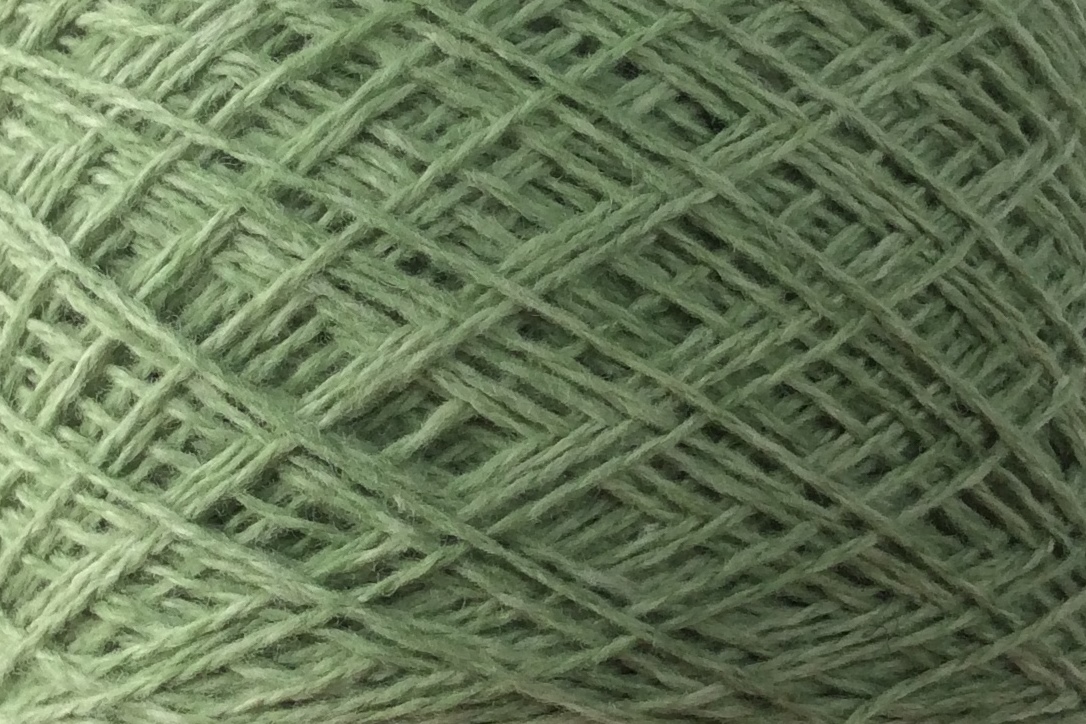 Coast 14 Grasshopper